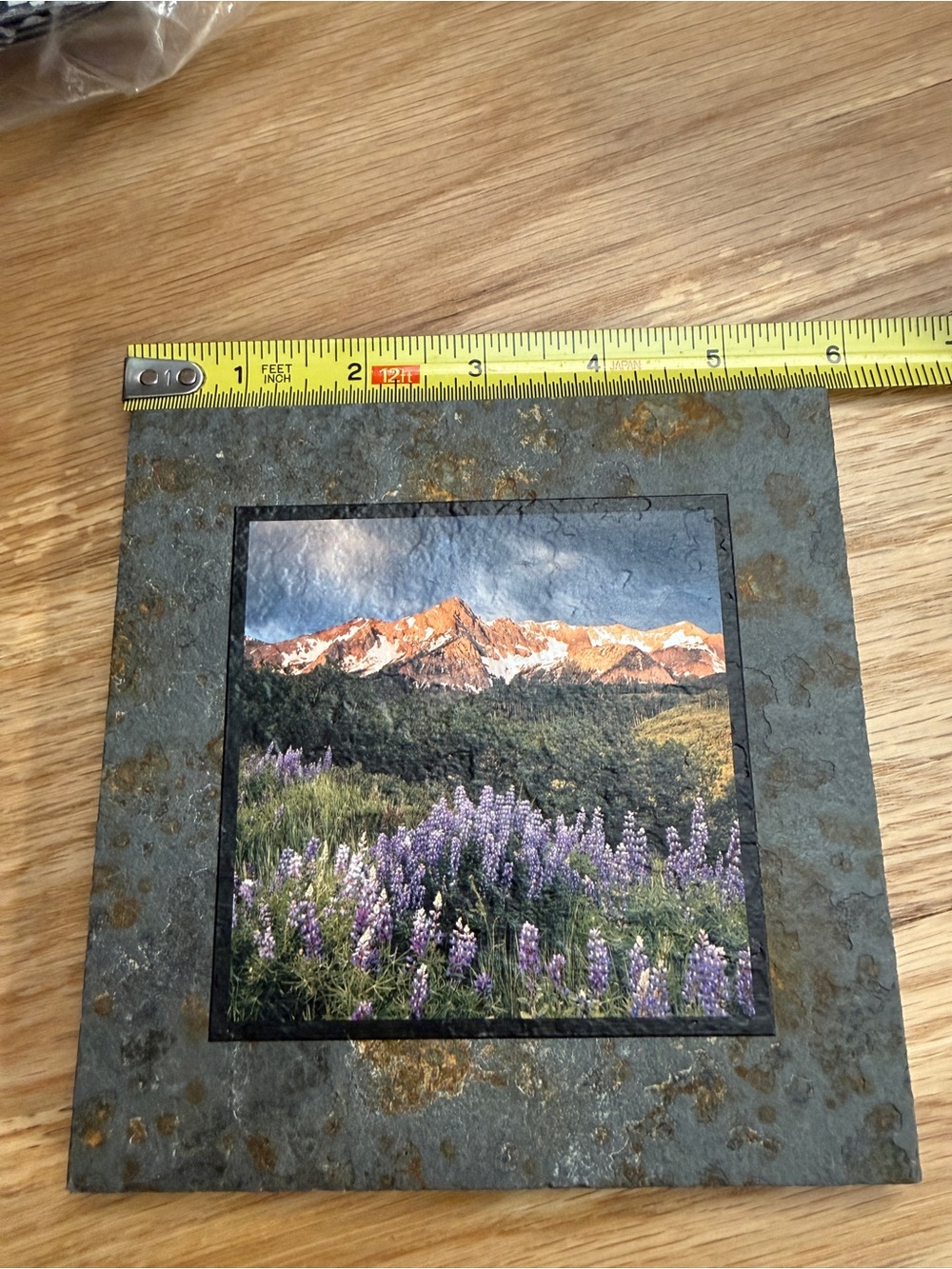 Mountain Meadow Art Print with Purple Wildflowers